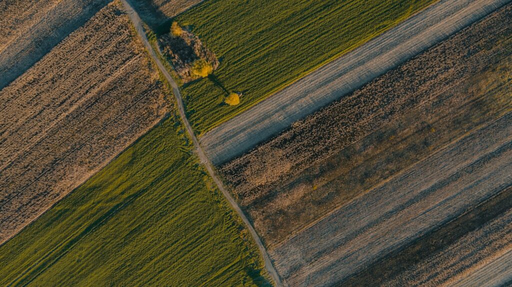 agricultura agroservicio